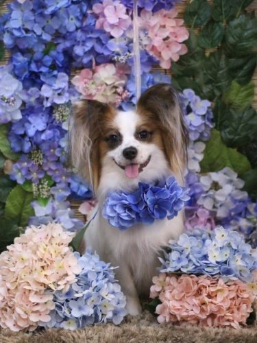 20250608ムーくん